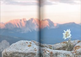 La Vita Sessuale dei Fiori — Libro - 3