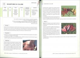 Laboratori con i Materiali Naturali — Libro - 3