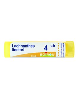 Lachnanthes Tinctoria 4CH Granuli Boiron - 1