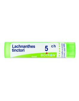 Lachnanthes Tinctoria 5CH Granuli Boiron - 1