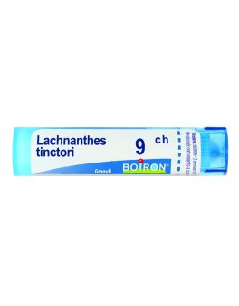Lachnanthes Tinctoria 9CH Granuli Boiron - 1