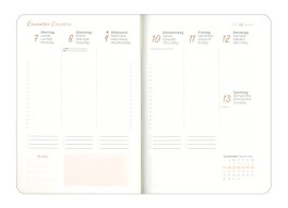 Lady Journal Deluxe Sky 2026 - Agenda Settimanale — Agenda - 2