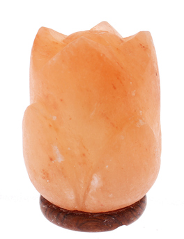 Lampada di Sale Himalaya - Tulipano con Base in Legno - 2