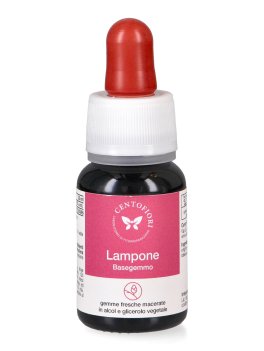 Lampone - Basegemmo - 2
