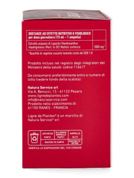 Lapacho - Ampolle - 3