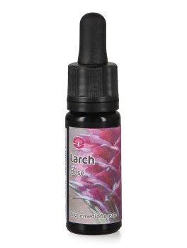 Larch - Dose - 1