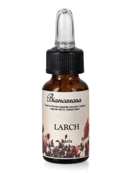 Larch - Fiori di Bach - 1