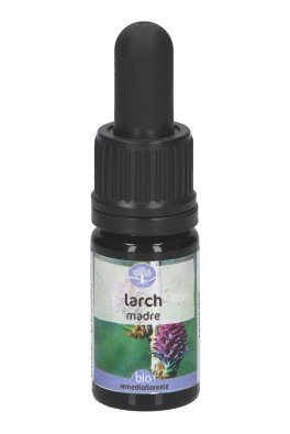 Larch - Soluzione Madre - 1