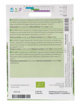 Semi di Lattuga Iceberg Verde (Saladin) - 2