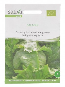 Semi di Lattuga Iceberg Verde (Saladin) - 1
