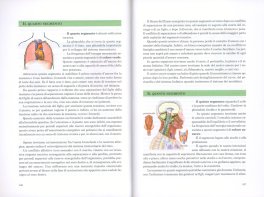 Lavaggio Energetico Emozionale (LEE) — Libro - 3