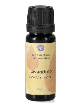 Lavandino - Olio Essenziale Floripotenziato - 1