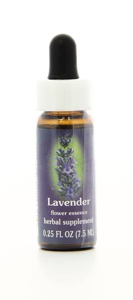 Lavender - Fiori californiani - 1