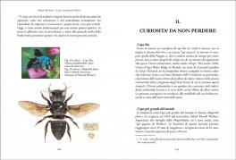 Le Api Invaderanno Marte? — Libro - 3