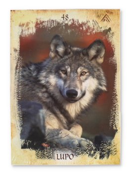 Le Carte degli Spiriti Animali - 4