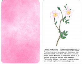 Le Carte dei Fiori Californiani — Libro - 3