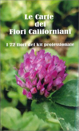 Le Carte dei Fiori Californiani — Libro - 1