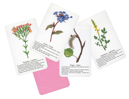 Le Carte dei Fiori di Bach - 3