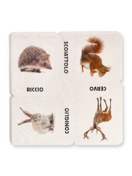 Le Carte della Natura Montessori — Libro - 3