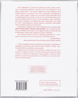 Le Carte Medicina - Carte Sciamaniche di Guarigione — Libro - 2