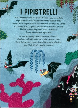 Le Case Pop-up degli Animali — Libro - 5