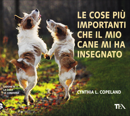 Le Cose più Importanti che il Mio Cane mi ha Insegnato 