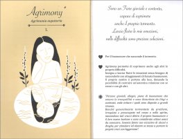 Le Emozioni Sono Bellezza — Libro - 3