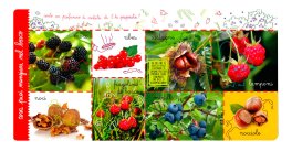 Le Enciclopedie dei Piccoli Montessori - Il Bosco — Libro - 3