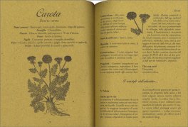 Le Erbe delle Nonne — Libro - 3
