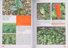 Le Erbe Ritrovate — Libro - 4