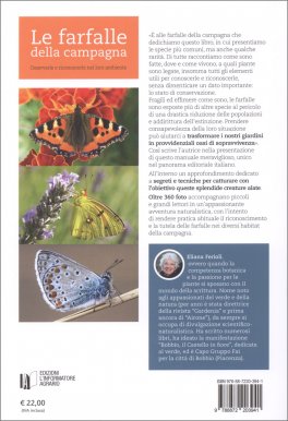 Le Farfalle della Campagna — Libro - 2