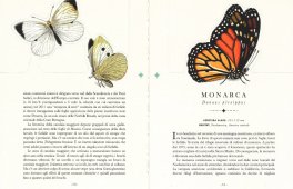 Le Farfalle - Il Libro che si Trasforma in un'Opera d'Arte — Libro - 5