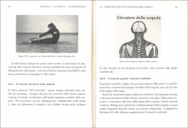 Le Flessioni della Schiena nello Yoga - Vol. 1 — Libro - 3