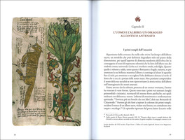 Le Mani degli Dei — Libro - 3
