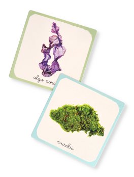 Le Mie Carte della Natura Montessori — Libro/Gioco - 4