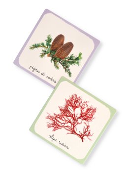 Le Mie Carte della Natura Montessori — Libro/Gioco - 5