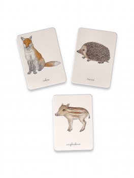 Le Mie Immagini Montessori — Libro - 4