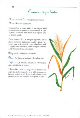 Le Nostre Piante Officinali — Libro - 3