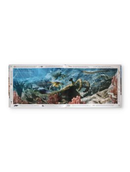 Le Origini del Pianeta — Libro - 2