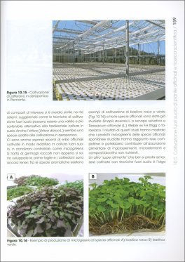 Le Piante Officinali — Libro - 3