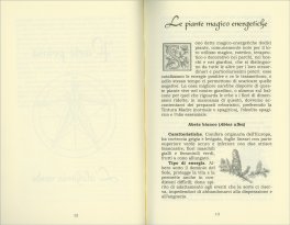 Le Piante del Fascino — Libro - 4