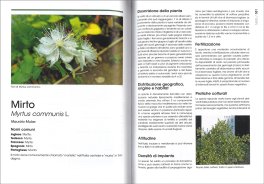 Le Piante Officinali Vol. 2 — Libro - 3