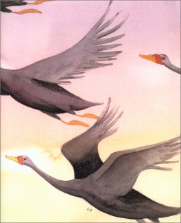 Le Più Belle Fiabe dei Fratelli Grimm — Libro - 4