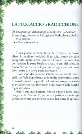 Le più Diffuse Erbe Spontanee Alimentari della Tradizione — Libro - 4