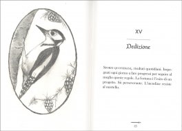 Le Regole del Cavaliere — Libro - 3