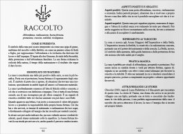 Le Rune della Strega — Libro - 2