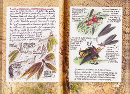 Le Scarpe degli Animali — Libro - 2