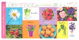 Le Enciclopedie dei Piccoli Montessori - Le Stagioni — Libro - 3