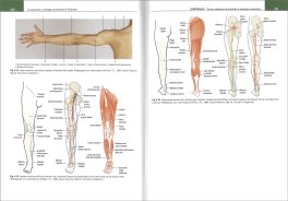 Le Tecniche a Energia Muscolare di Chaitow — Libro - 3