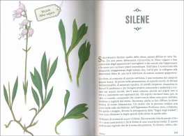 Le Verdure Dimenticate — Libro - 3